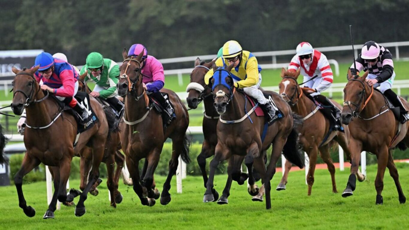 hotels near Galway Races